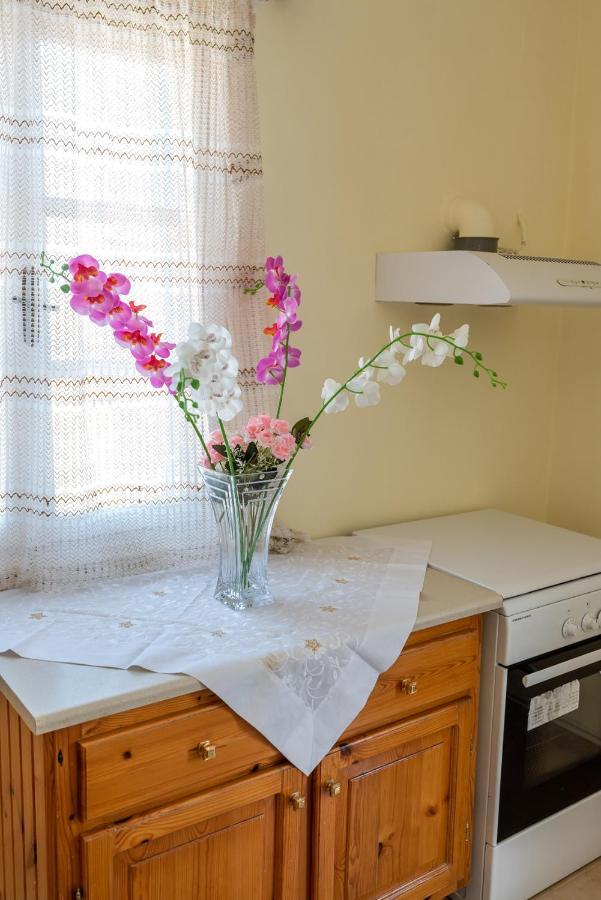 Giannis Apartment Panormos  Eksteriør bilde